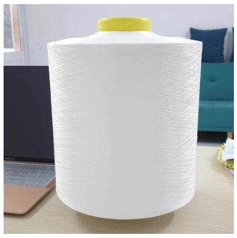 Sợi Polyester 300/96